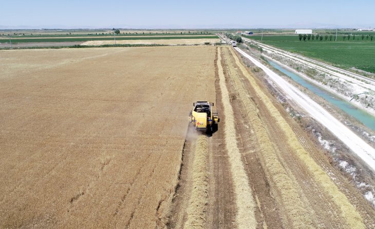 'Buğday ithalatı kararı fiyatları etkilerse ekim alanları azalabilir'