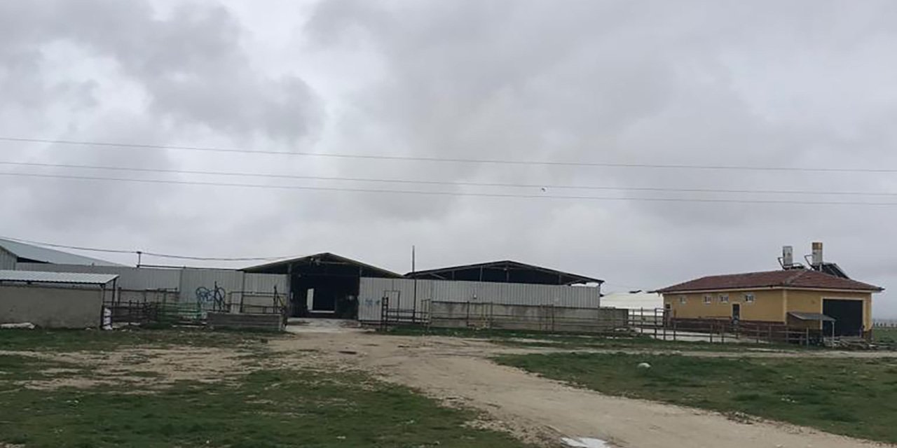 Konya’da bir çiftlikten onlarca hayvan çalındı