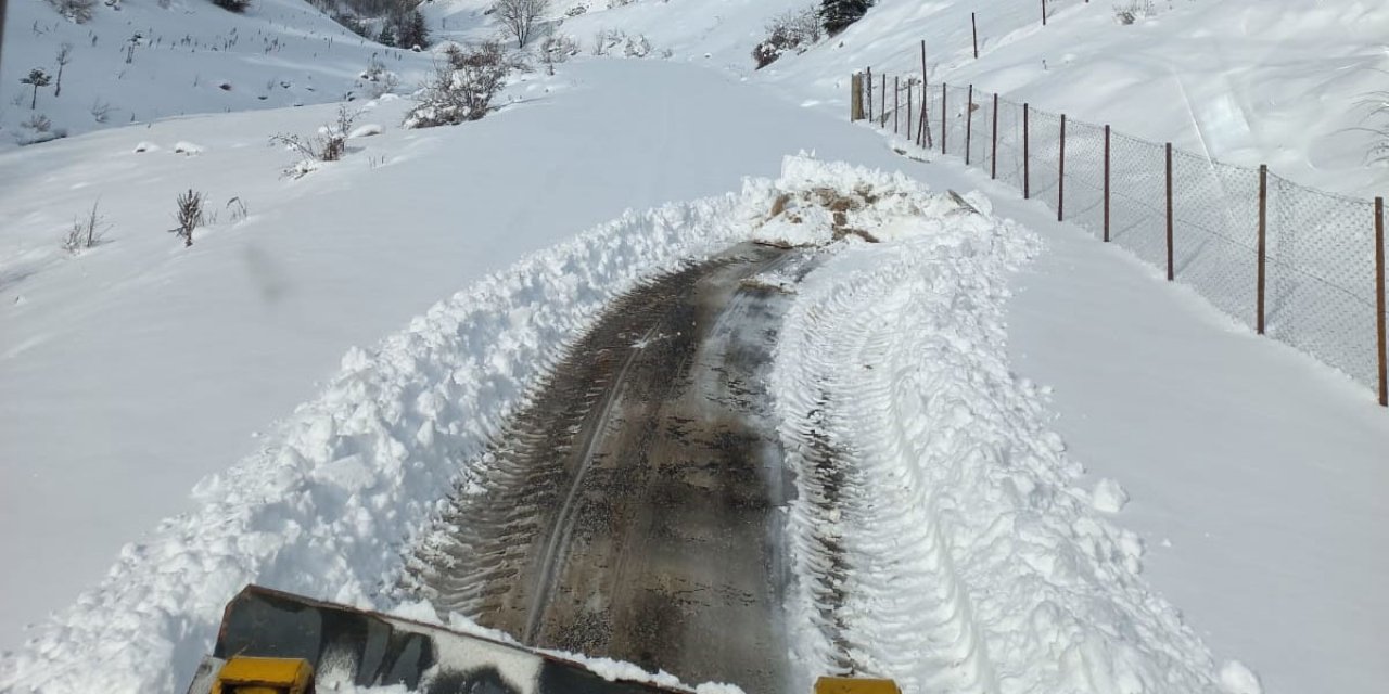 Mart kapıdan baktırdı, 95 köy yolu ulaşıma kapandı