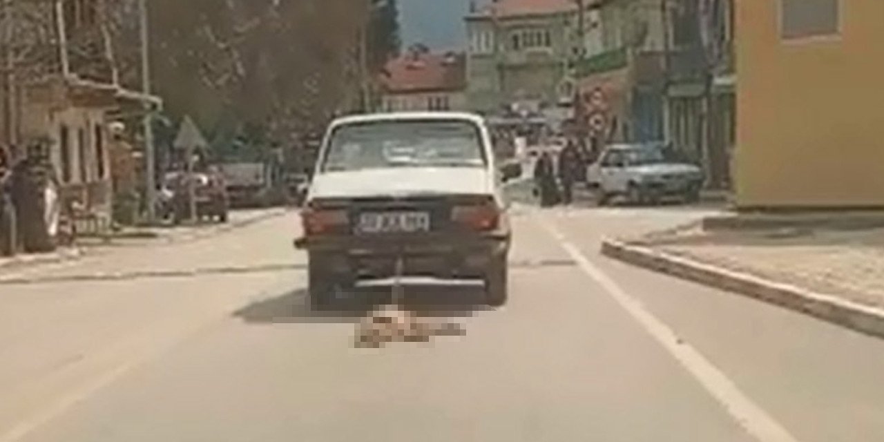 Köpeği otomobiline bağlayıp sürükleyerek öldürdü, ifadesi şaşkına çevirdi