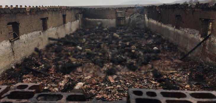 Konya'daki ahır yangınında 242 hayvan telef olmuştu!