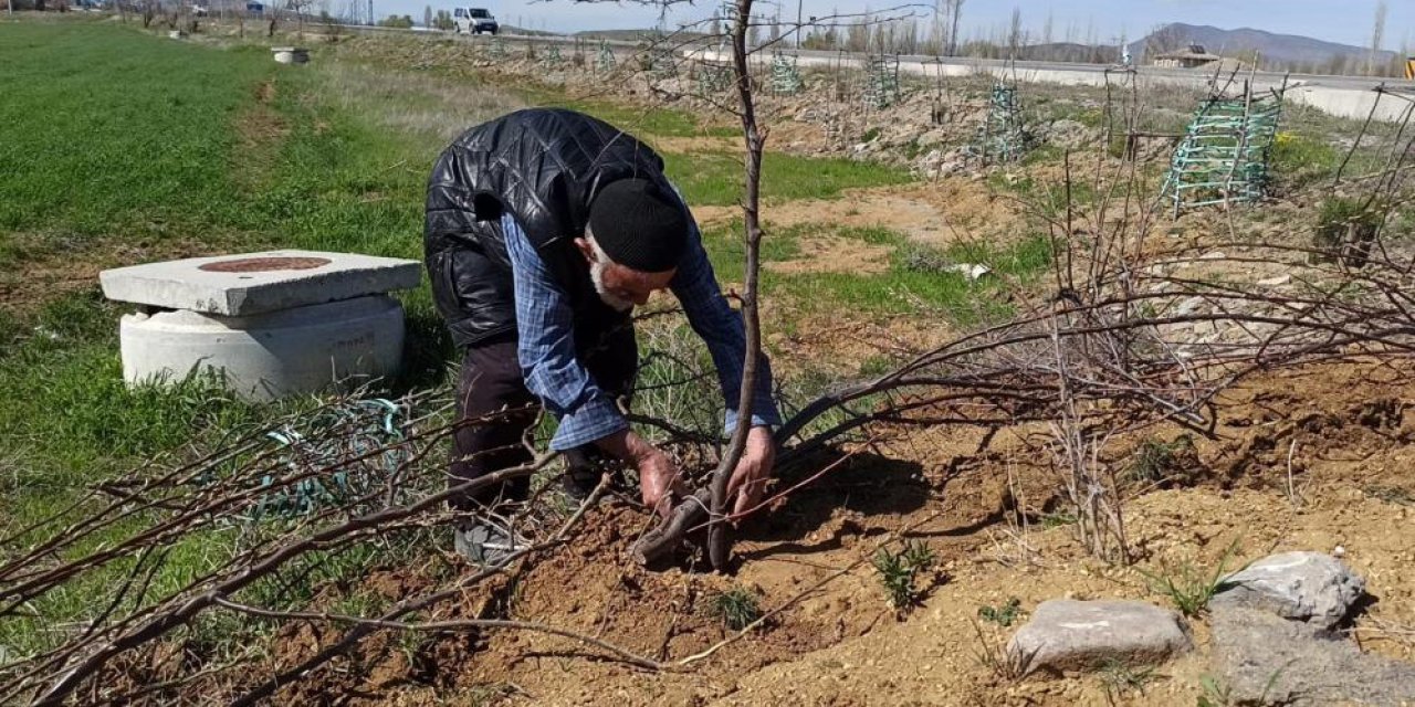 Konya’da ağaç sever dede diktiği ağaçların bakımını da kendisi yapıyor