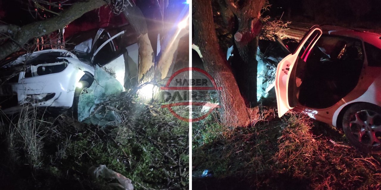 Konya’da yoldan çıkan otomobil ağaca çarptı