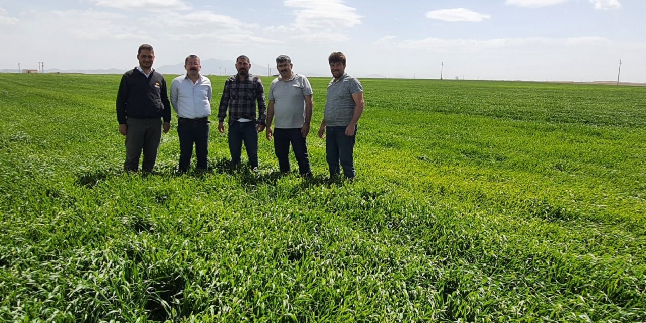 Konya’da tarım arazilerinde son durum ne? Başkan Üner’den çiftçilere uyarı