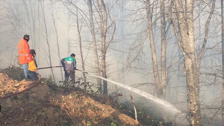 Karadeniz'de iki günde 150 noktada örtü ve orman yangını çıktı
