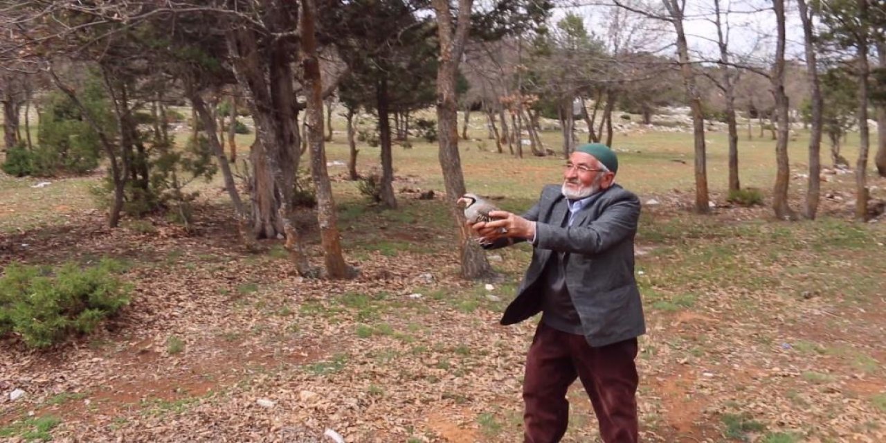 Konya’da kınalı keklikler törenle 5 ilçede doğaya salındı