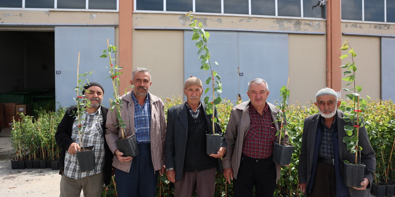 Konya Büyükşehir’den çiftçiye destek