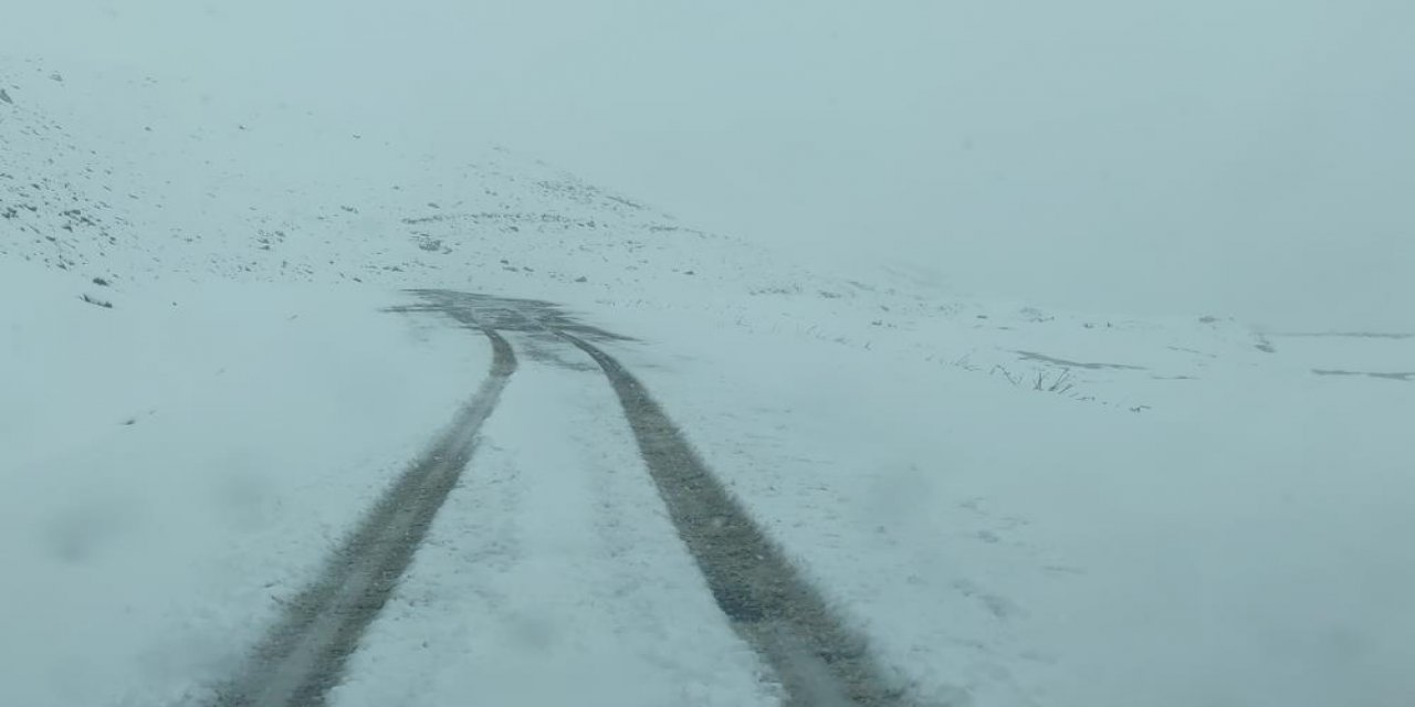 Tarih 20 Mayıs! Aniden bastıran kar her yeri beyaza bürüdü