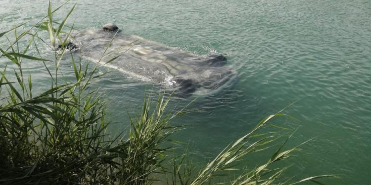 Panelvan sulama kanalına devrildi: 3 ölü