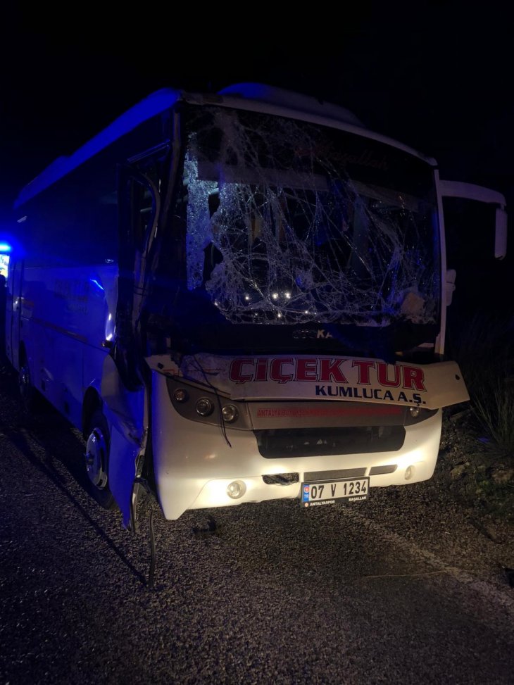 Yola çıkan at zincirleme kazaya sebep oldu: 4 yaralı