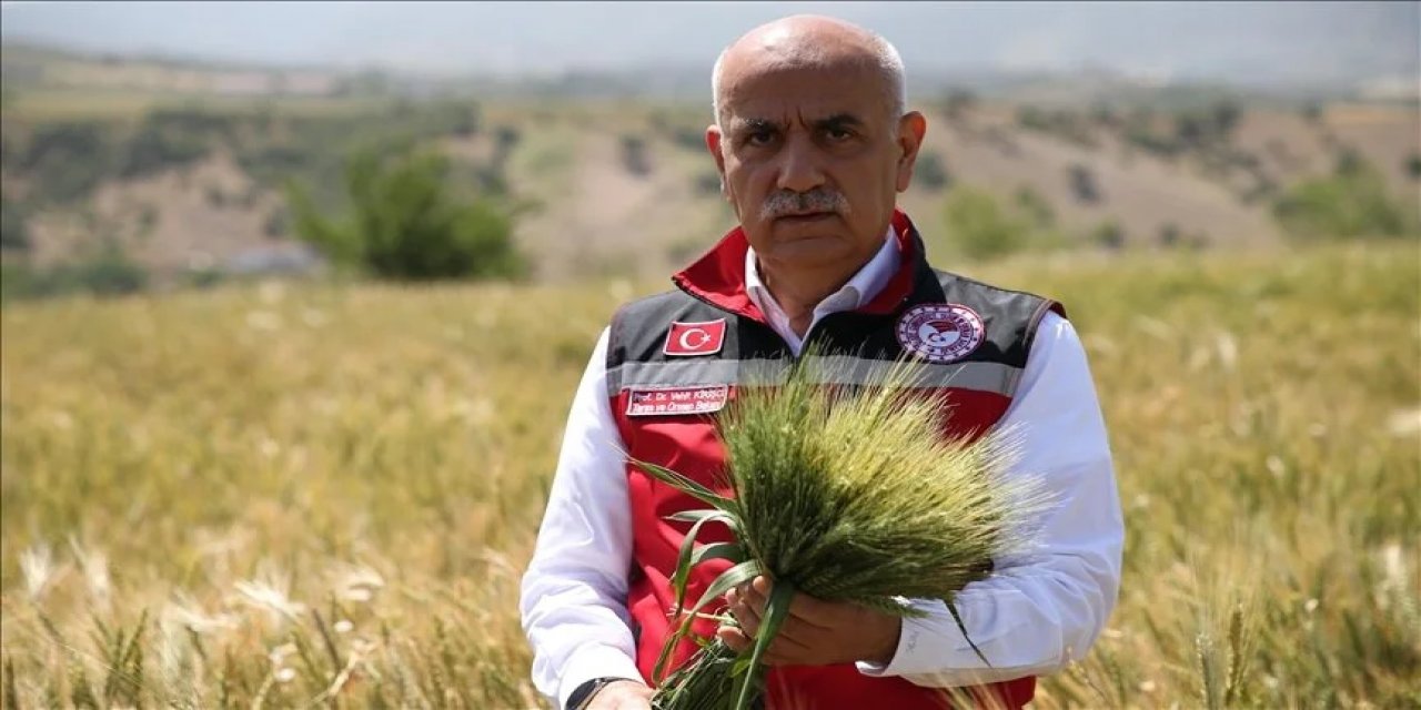 Bakan Vahit Kirişci: Buğdayda beklenen rekolte Türkiye'nin ihtiyacının karşılanması için yeterli