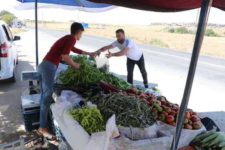 Satın alacakları ürünleri, bahçeden kendileri topluyor