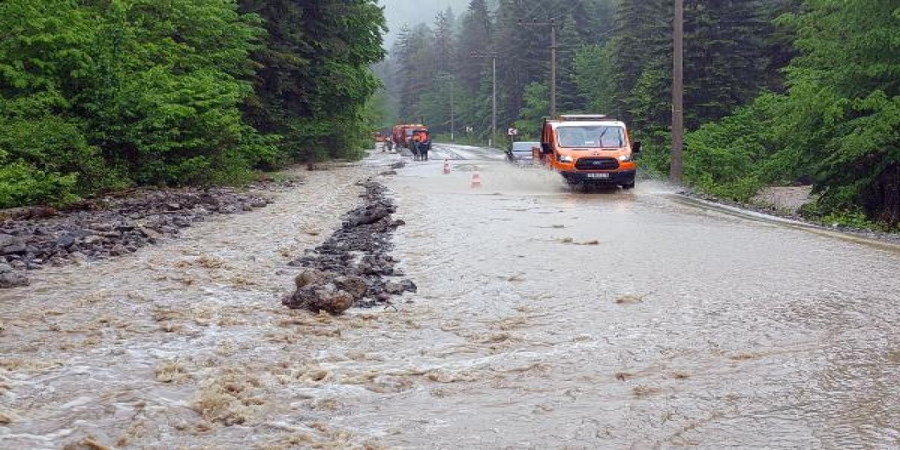 Bolu’da sağanak etkili oldu: Dereler taştı, ağaçlar devrildi