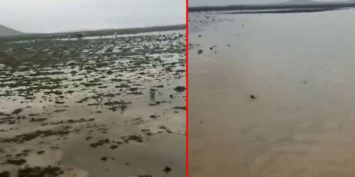 Konya’da sel hayatı olumsuz etkiliyor! Tarlalar ve meralar su altında kaldı