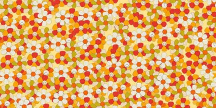 Beyin yakan test: 3’ünü 10 saniyede bulabilen yok!