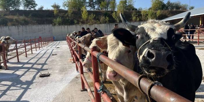 Konya’da karantina kararı! Giriş ve çıkışlar da kapatıldı