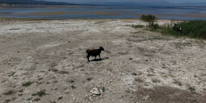 Türkiye’nin başı sağ olsun! Konya'nın can damarı öldü