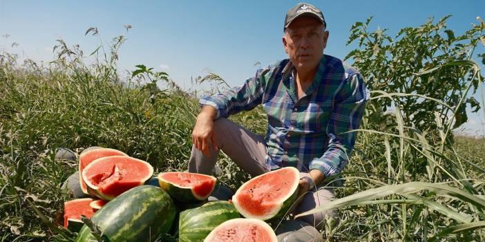 Konyalı firma 55 TIR aldı, çiftçiye 20 milyon zarar bıraktı