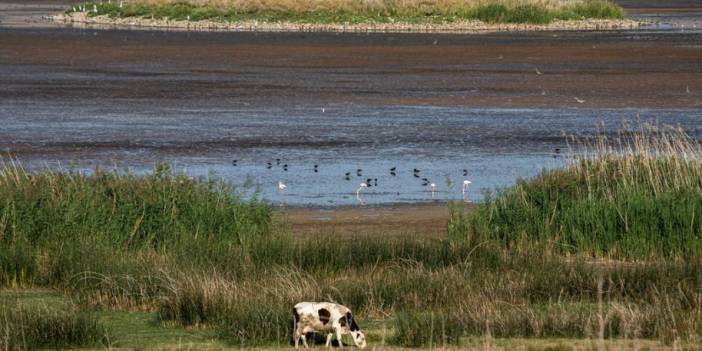 Nasrettin Hoca’nın torunları Konya’nın kuruyan gölüne su mayaladı