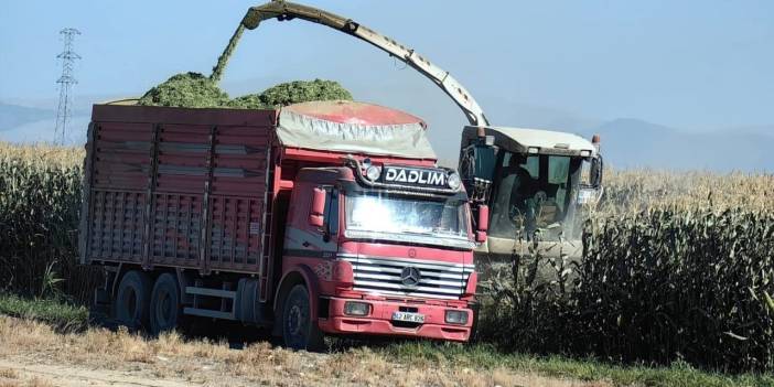 Konya’da mısır hasadı erken başladı: Kilogram fiyatı belli oldu