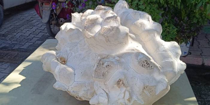 Konya yaylasında görülmemiş manzara