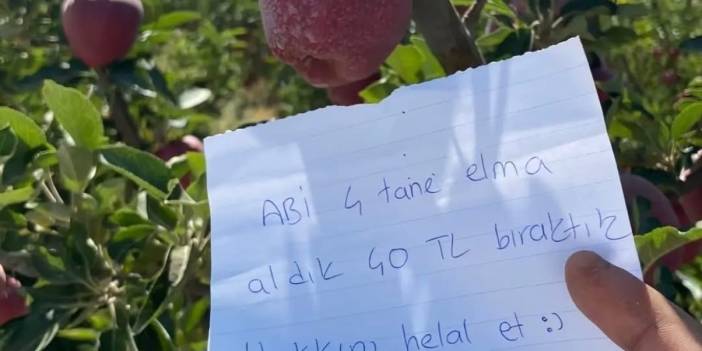 Konya Ovasının üretim merkezinde elma fiyatı tartışması