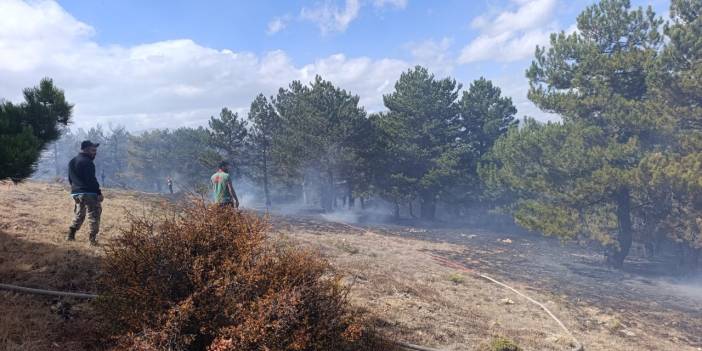 Konya’nın ünlü piknik alanında orman yangını çıktı