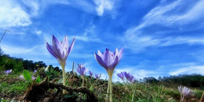 Kışın habercileri Konya’nın yükseklerini süsledi