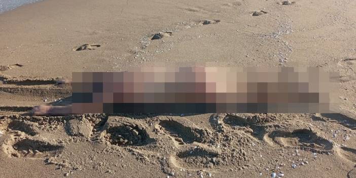 Şehri ayağa kaldıran görüntü! Sahilde çıplak halde bulundu