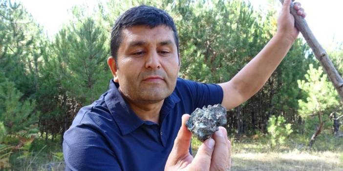 Mantar toplarken hayatının sürpriziyle karşılaştı