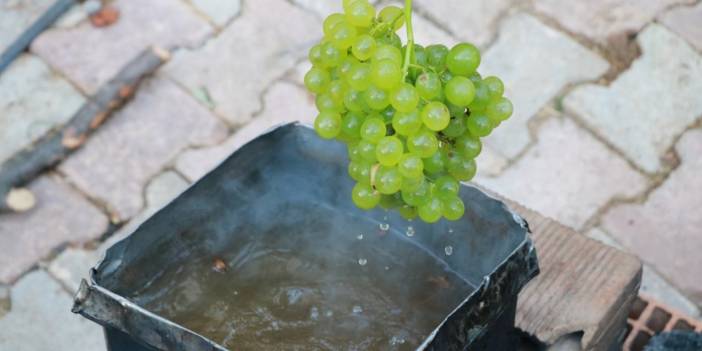 Bu lezzet Konya’dan başka yerde yok