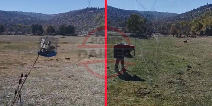 Vicdansızlıkta son nokta! Konya’da sakalara kurulan tuzak bozuldu