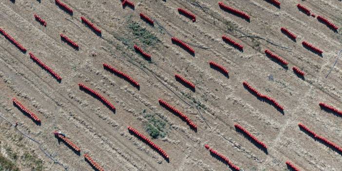 Konya Ovası’nda tablo gibi hasat