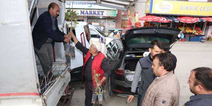 Konya çiftçisi, çok kazandıracak ürünü ekecek! 4 bin fidan dağıtıldı