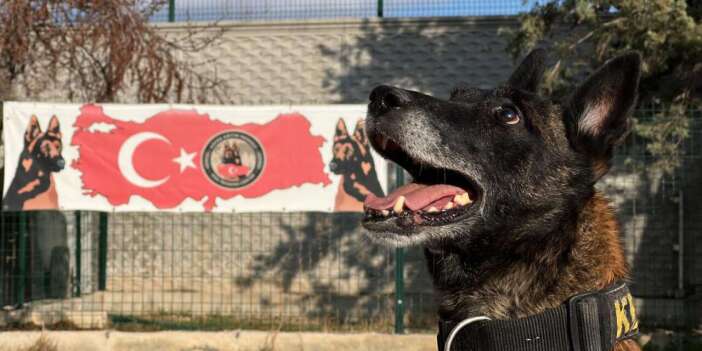 Konya’daki hassas burunların oyunu zehir tacirlerini yakıyor
