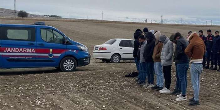 Köpek dövüştürüyorlardı, jandarmayı görünce sıraya geçtiler