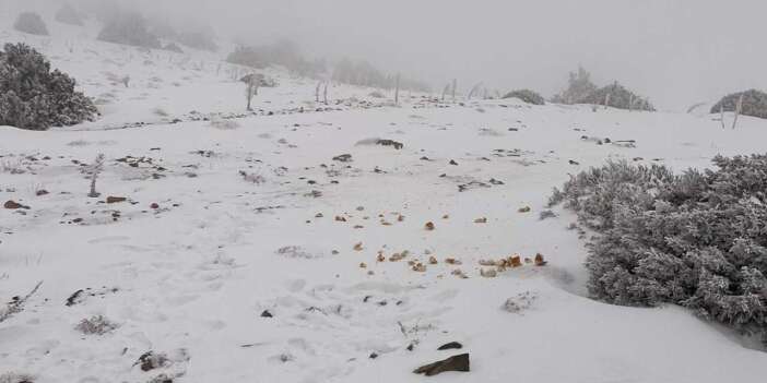 Konya’da kar en çok bir ilçeye yağdı