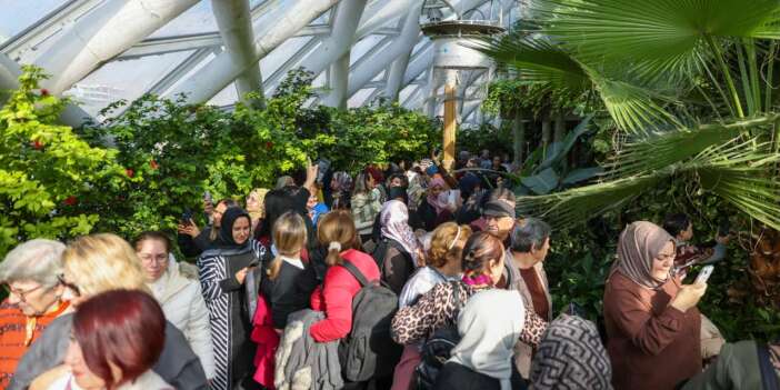 Konya’nın kelebek cenneti ziyaretçi rekoru kırdı