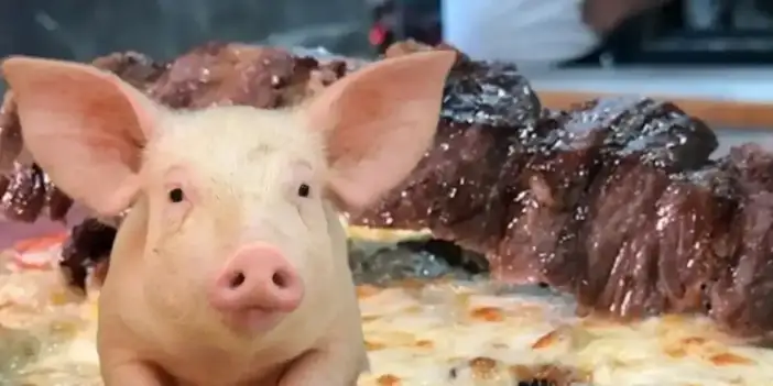 Domuz eti ile kavurma iddialarına ilişkin valilikten açıklama