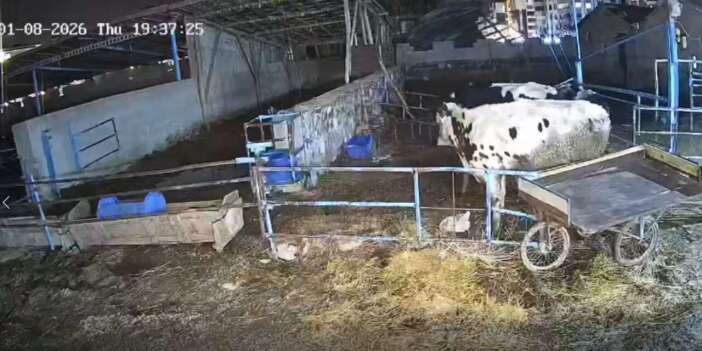 Konya’da şiddetli fırtına çiftliğin çatısını böyle uçurdu