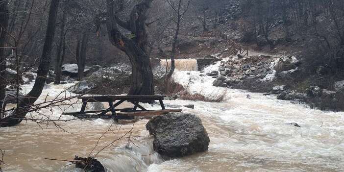 Konya’da kuraklığın ardından sevindiren manzara! Yeniden canlandı
