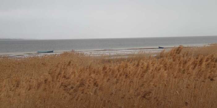 Konya’da kuraklığın vurduğu Beyşehir Gölü’nden sevindiren haber