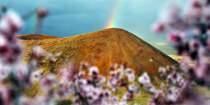 Konya’daki “Dünyanın nazar boncuğu” baharla parlıyor