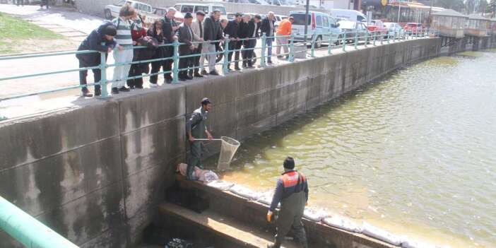 Konya’da saatler süren balık kurtarma operasyonu! Göle geri döndüler