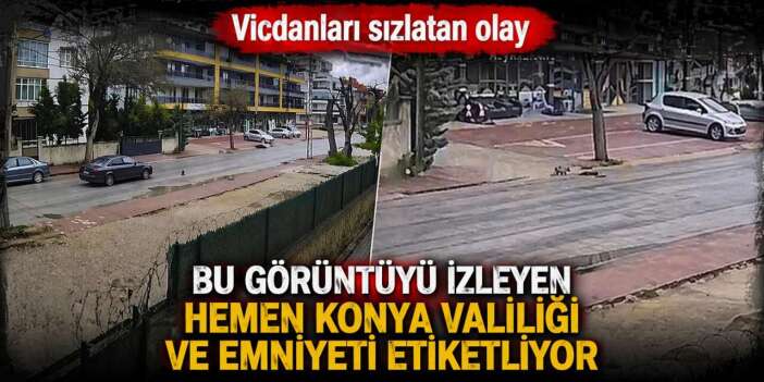 Konya’da vicdanları sızlatan görüntü! Kediye çarpıp kaçtı