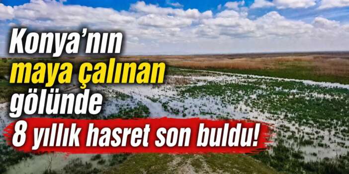 Konya’nın maya çalınan gölünde 8 yıllık hasret son buldu
