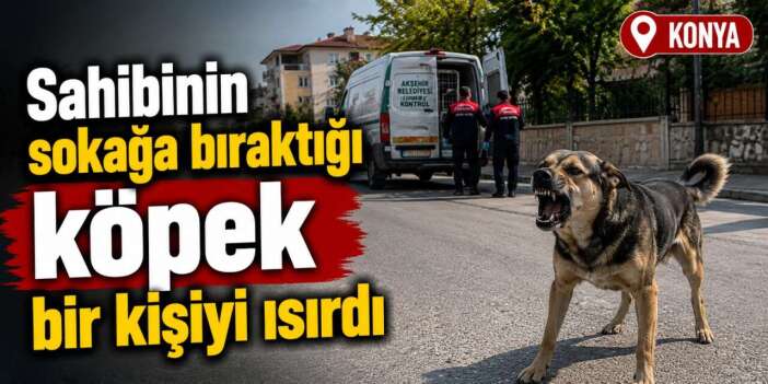 Konya’da başıboş bırakılan sahipli köpek bir kişiye saldırdı