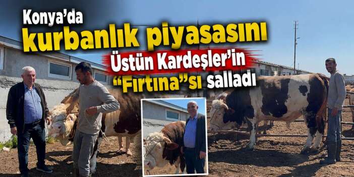 Konya’nın şampiyon kurbanlığı “Fırtına” görücüye çıkmadan satıldı