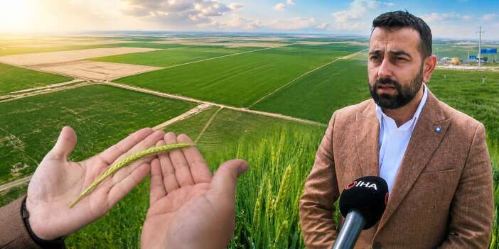 Bereketle coşan Konya çiftçisini yeni bir korku sardı