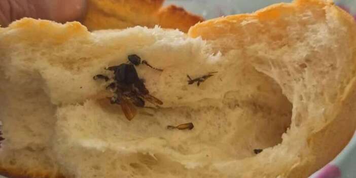 Konya’da hijyen skandalı! Ekmeğin içinden hamam böceği çıktı